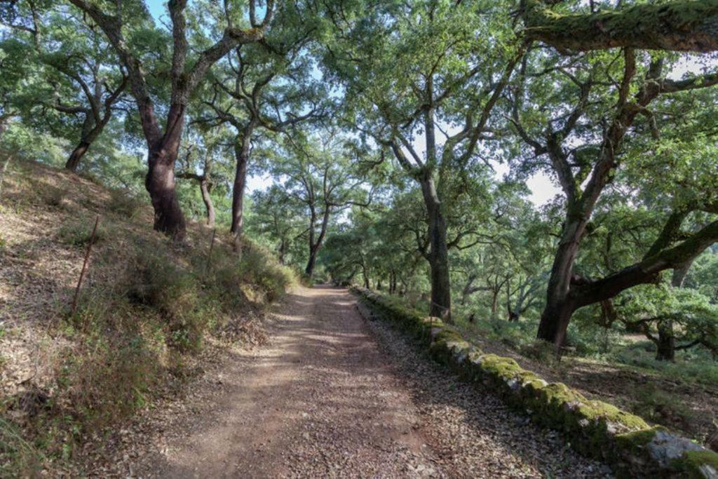 Finca Montemateo Navahermosa  外观 照片